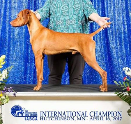 Image of Riverside Mira's Irish Storm