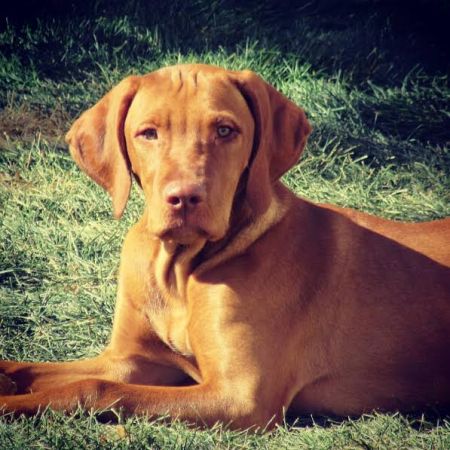 Image of Hideaway's Into the Sagebrush