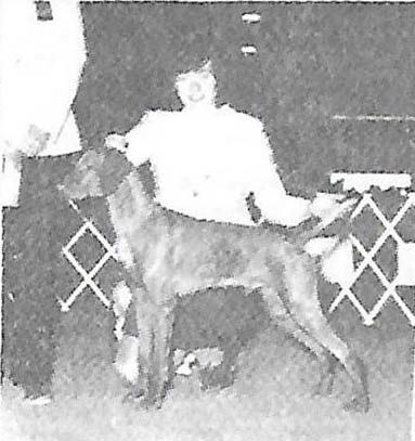 Image of Pasko's Son Of Glenogen
