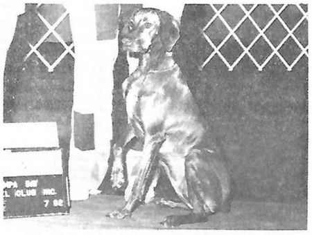 Image of Barben's New Year's Baby