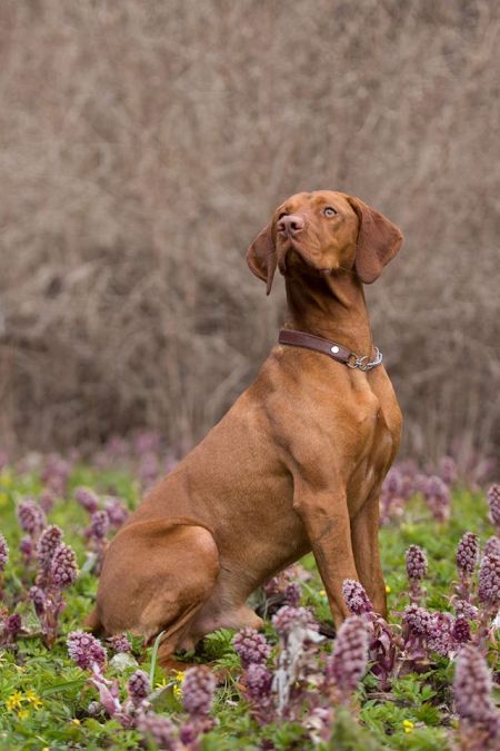 Image of Charleston Free Jazz