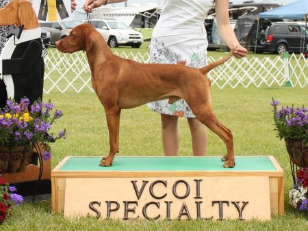 Image of Jnek's It Don't Get Better Than This