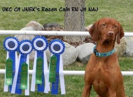 Image of Jnek's Razen Cain