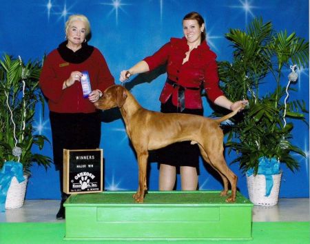 Image of Jnek's Razen Cain