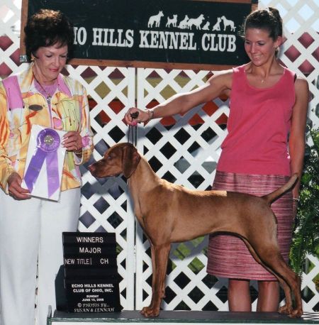 Image of Jnek's How Sweet It Is