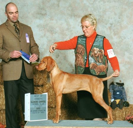 Image of Jnek's It Happened One Night