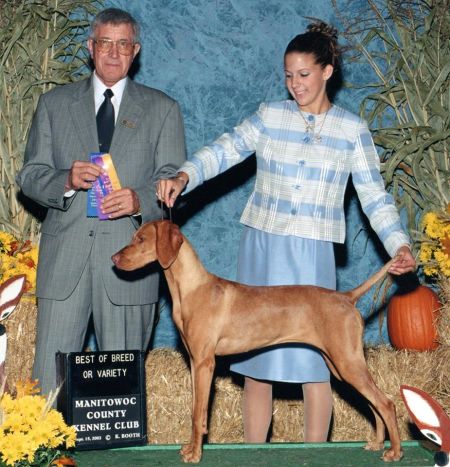 Image of Jnek's It Happened One Night