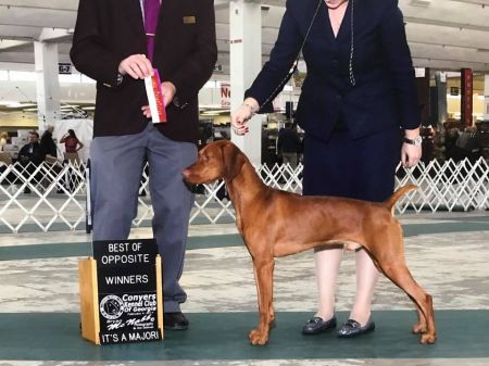 Image of Rhapsody Writer's Block