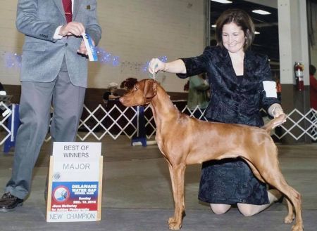 Image of Rhapsody Poetry In Motion