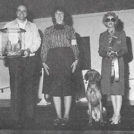 Image of Kinghill Bold As Brass