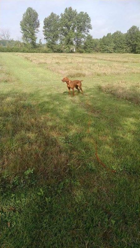 Image of Granite's Anise Spice