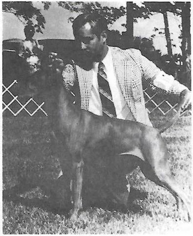 Image of Jason Kedves Vadasz