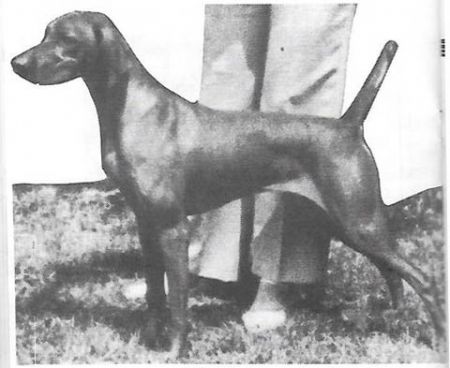 Image of Brance's Exalting Zephyrus
