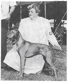 Image of Harann's Jazminka