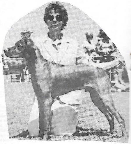 Image of Citadella Matyas