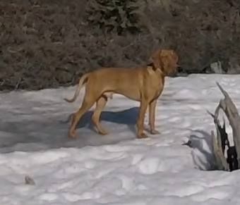 Image of Lebeny-Hansagi Istok