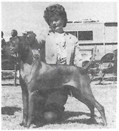 Image of Russet Leather Moccasin Doll
