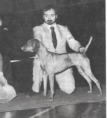 Image of Upwind Piper's Serenade