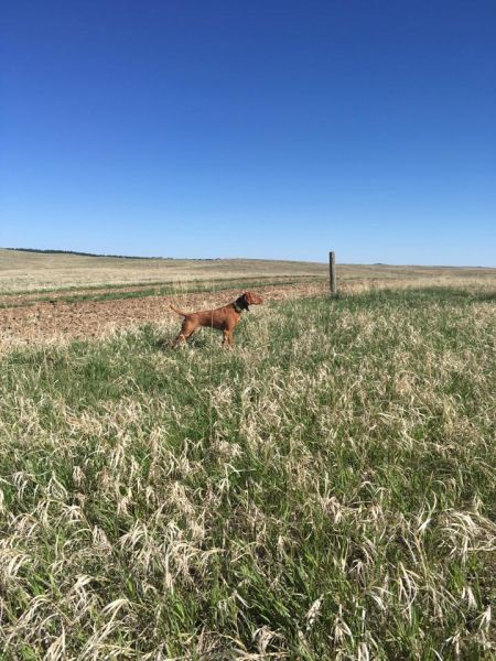 Image of Rhapsody Feelin' Hot Hot Hot