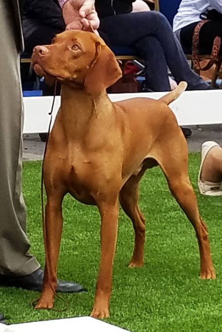 Image of Kelby Creek's Wild Bill