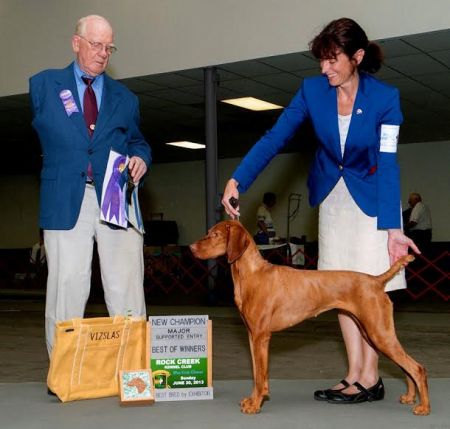 Image of Dynata's Bound To Be Shooting For It All / Dynata's Bound To Shoot For It