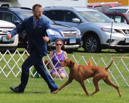 Image of Copper-Creek's Hungary Like The Wolf