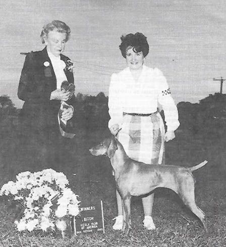 Image of Kezdet's Kis Lizzi