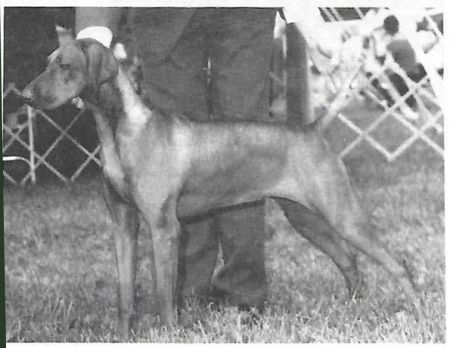 Image of Brance's Days Of Wine And Roses