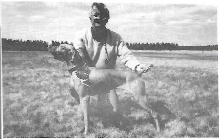 Image of Mehagian's Plenty Of Sauce