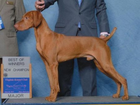 Image of Dynata's Bound To Reign