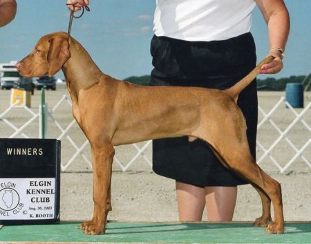 Image of Jnek's Up In Smoke