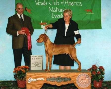 Image of Jnek's Up In Smoke