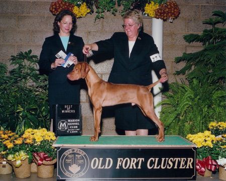 Image of Jnek's Up In Smoke