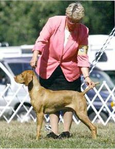 Image of Jnek's Life Of Riley