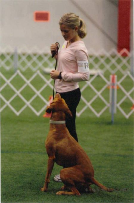 Image of Jnek's Life Of Riley