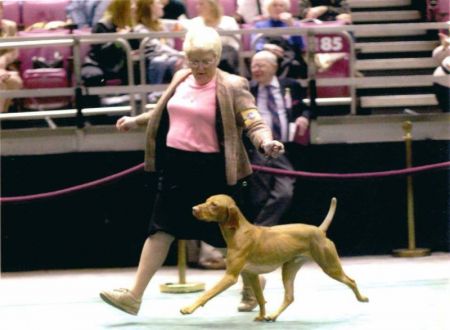 Image of Jnek's Life Of Riley