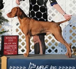 Image of Bayviews Sweep'n The Clouds Away