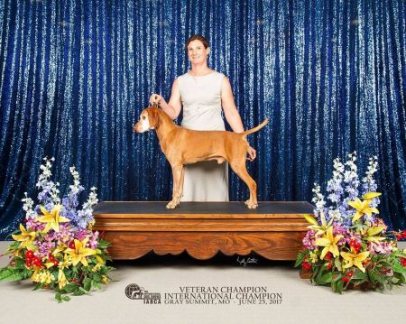 Image of Lundy's Red Bull