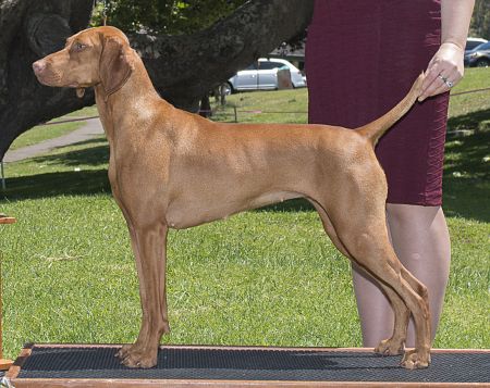 Image of Red Diamond Playing For Keeps