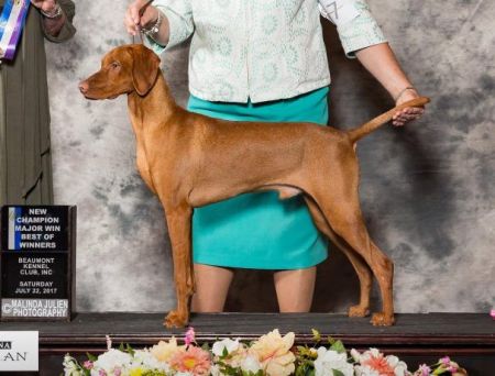 Image of Regal Point Somewhere Over The Rainbow