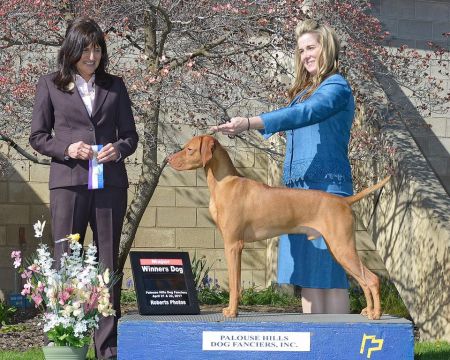 Image of Riverside's Start Me Up Jagger