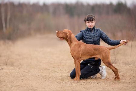 Image of Lembo Praut Tssigmond Beauty of Fire