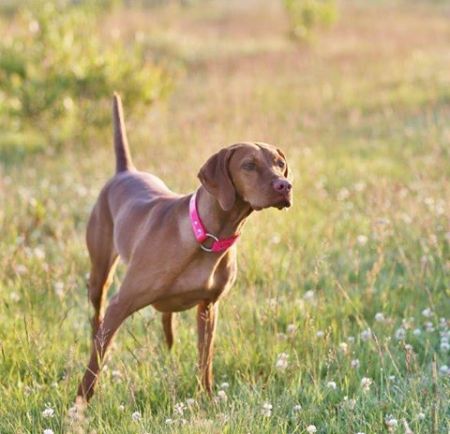 Image of Wall Canyon's New Wave