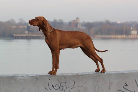 Image of Tina Trading Renata