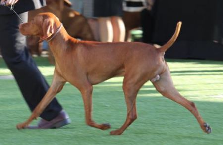 Image of Serenity's Ladies Love Cool Jack