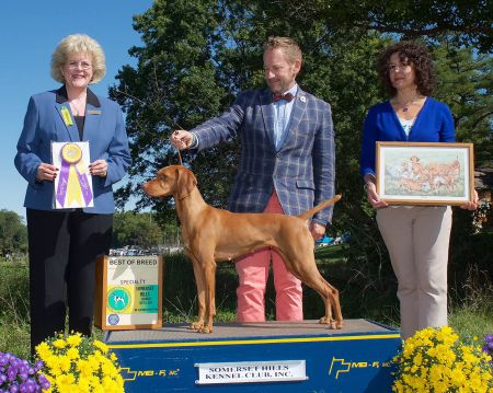 Image of Wolfgang Mahantango Star