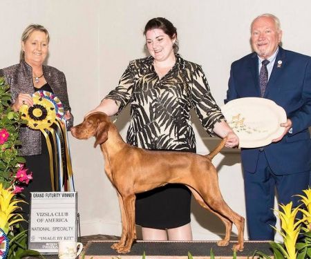 Image of Tradewind's Ida Queen Bee