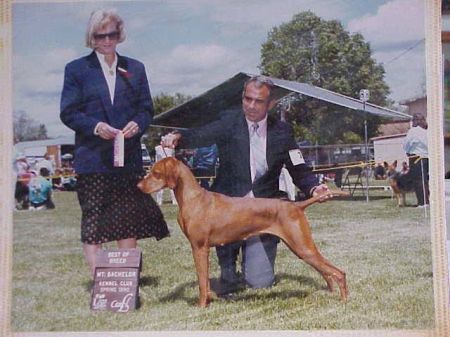 Image of Szilva Lu Szolomon