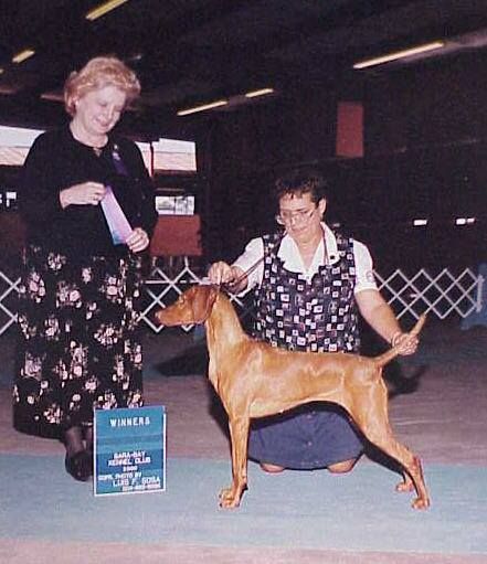 Image of Rustican Rheingold Sieglinde