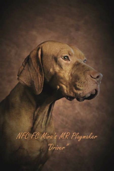 Image of Mira's Mr Playmaker